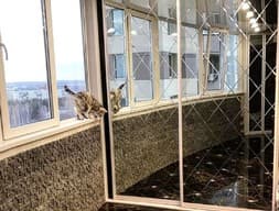 Шкаф-купе №142