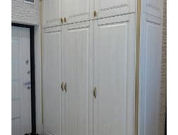 Шкаф в прихожую №8