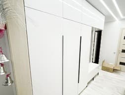 Шкаф в прихожую №12