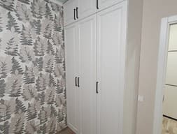 Шкаф распашной №141