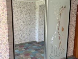 Шкаф-купе №174