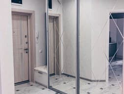 Шкаф-купе в прихожую №15