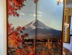 Шкаф-купе №29