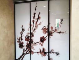 Шкаф-купе №44