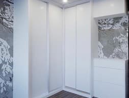 Шкаф-купе угловой №11